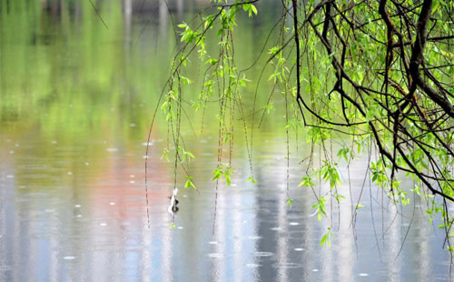 雨中的守护者 —— 祁连珍珠棉的应用实践 雨中的守护者 —— 祁连珍珠棉的应用实践